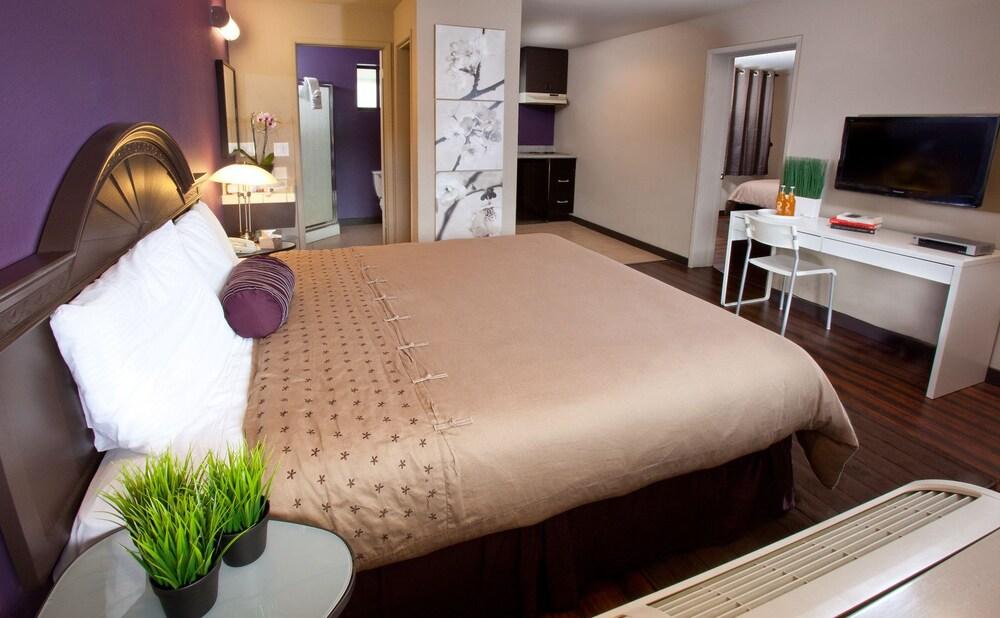 Alura Inn San Jose Dış mekan fotoğraf